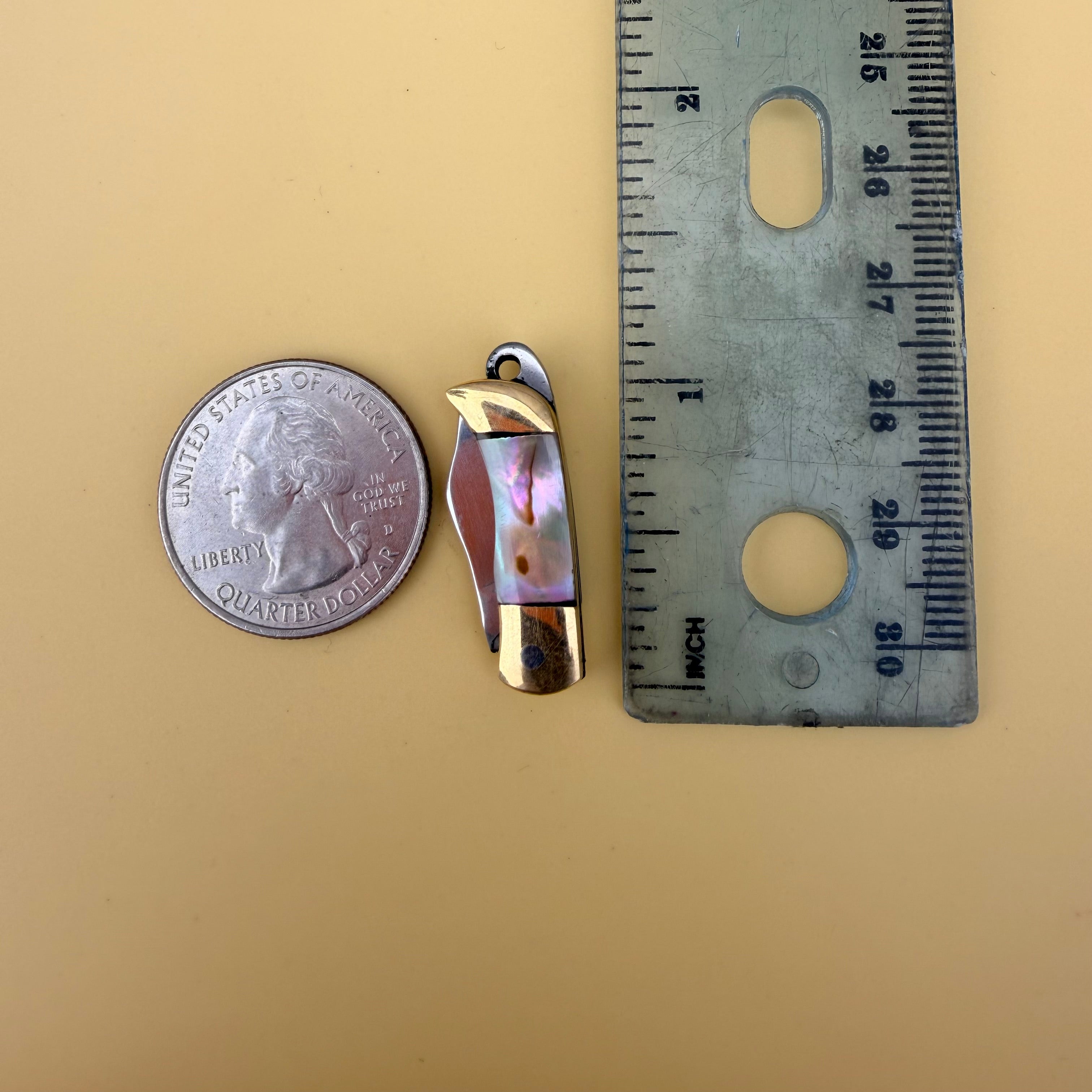 Backcountry Earrings (Abalone)