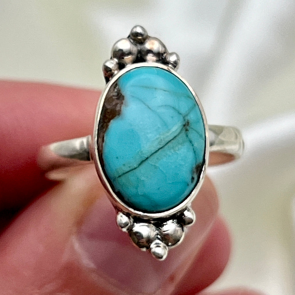 Nevada Turquoise Ring: Size 7.5